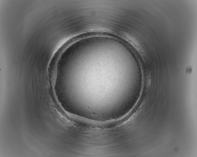 X0000090451022200707201309