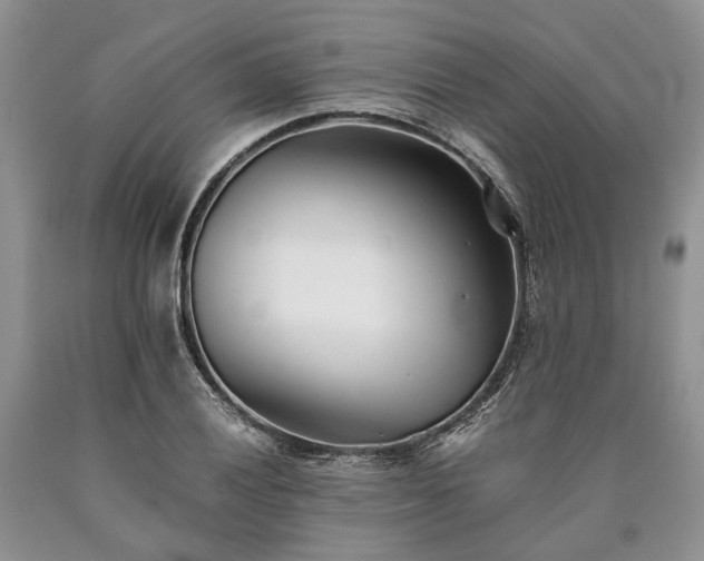 X0000090451028200707201309