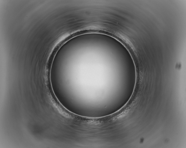 X0000090451029200707201309