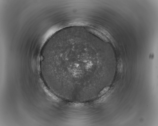 X0000090451030200707201309