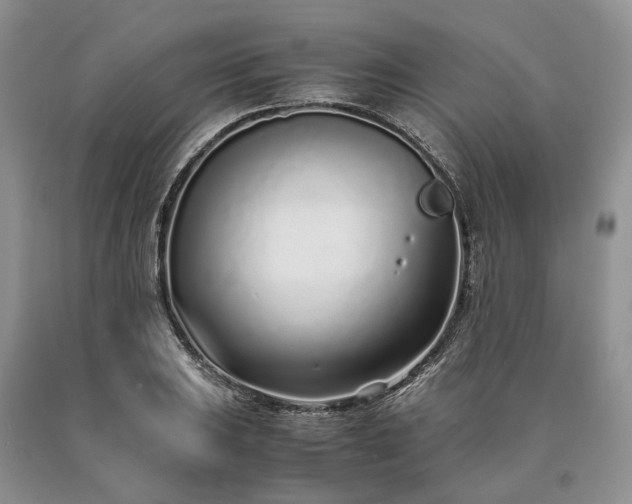 X0000090451031200707201309