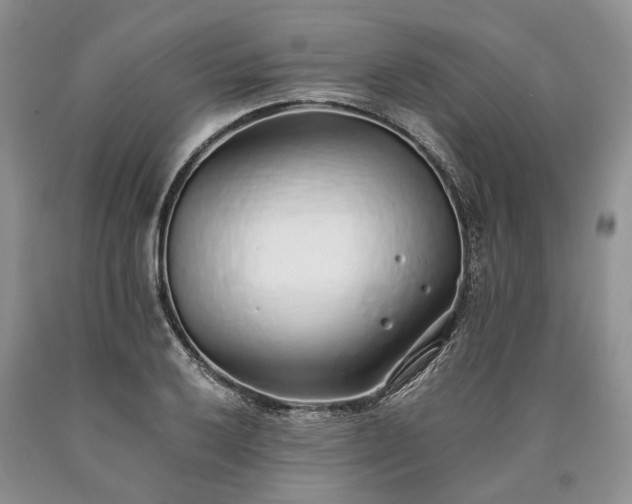 X0000090451032200707201309
