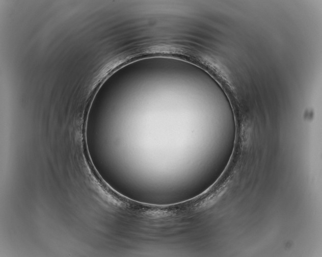 X0000090451033200707201309