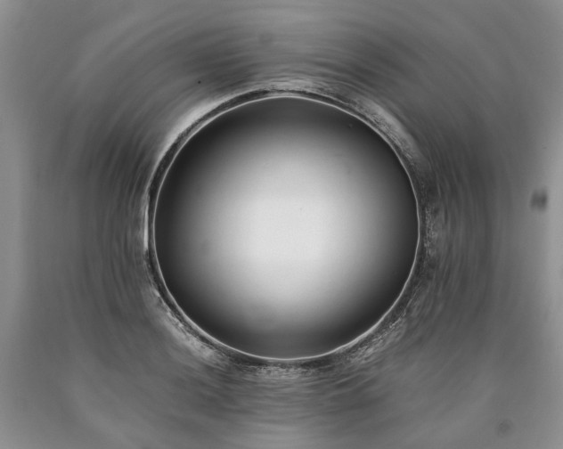 X0000090451036200707201309
