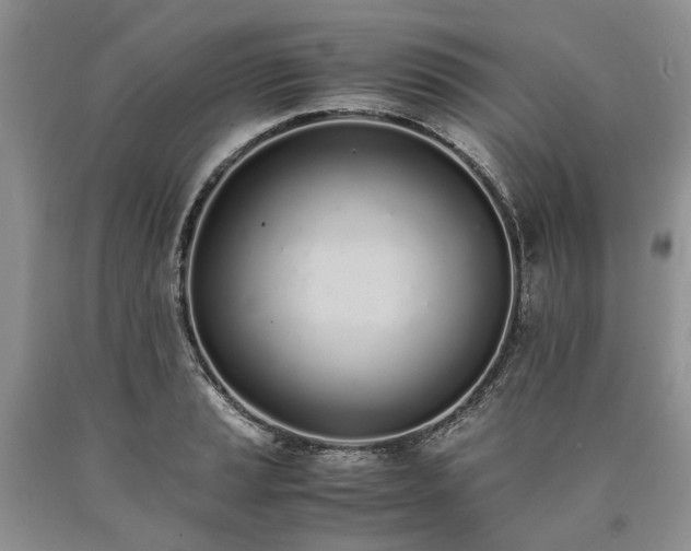 X0000090451037200707201309