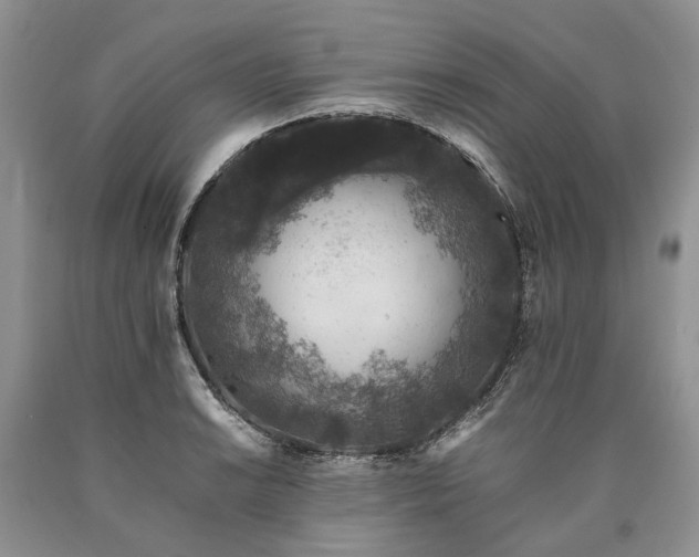 X0000090451038200707201309