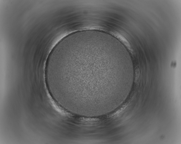 X0000090451039200707201309