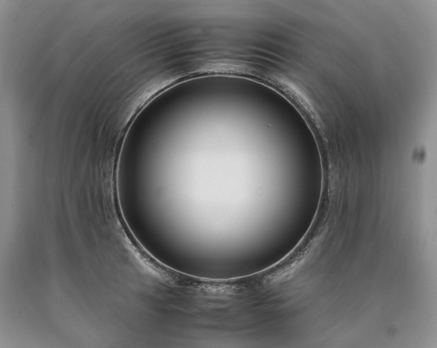 X0000090451041200707201309