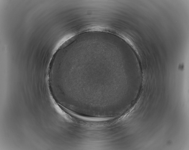 X0000090451042200707201309