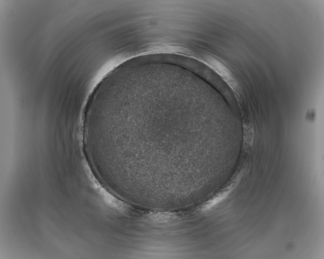 X0000090451046200707201309