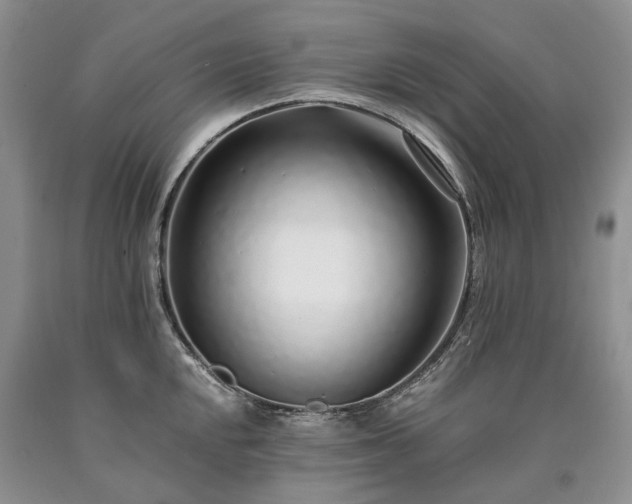 X0000090451048200707201309
