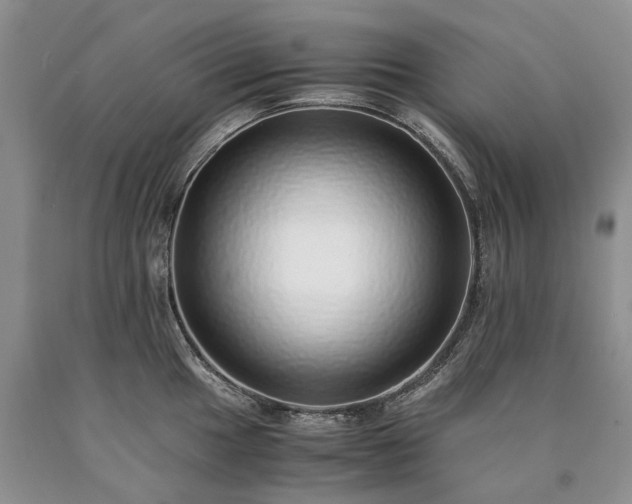 X0000090451049200707201309
