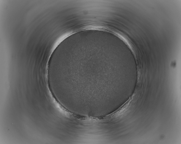 X0000090451050200707201309