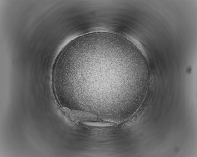 X0000090451051200707201309
