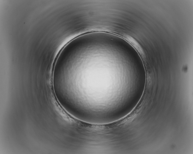 X0000090451052200707201309