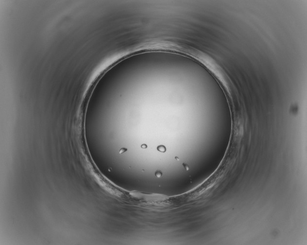 X0000090451053200707201309