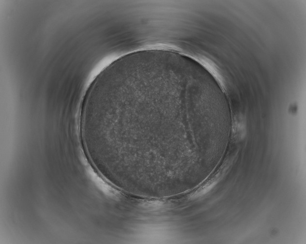 X0000090451054200707201309