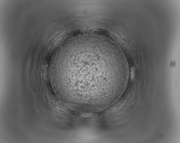 X0000090451059200707201309