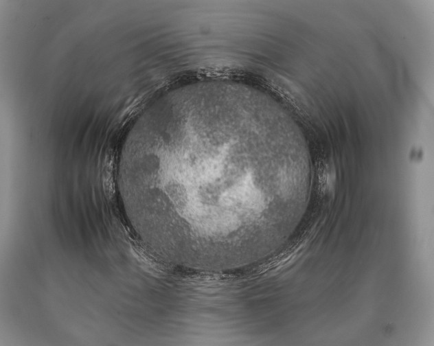 X0000090451060200707201309