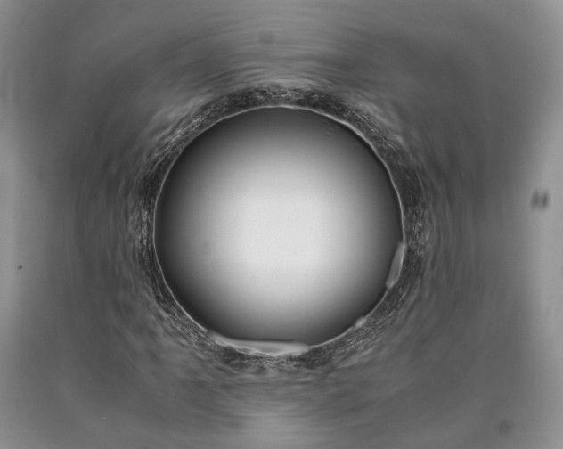 X0000090451061200707201309