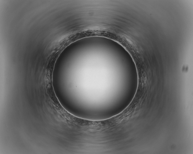 X0000090451062200707201309
