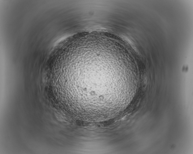 X0000090451063200707201309
