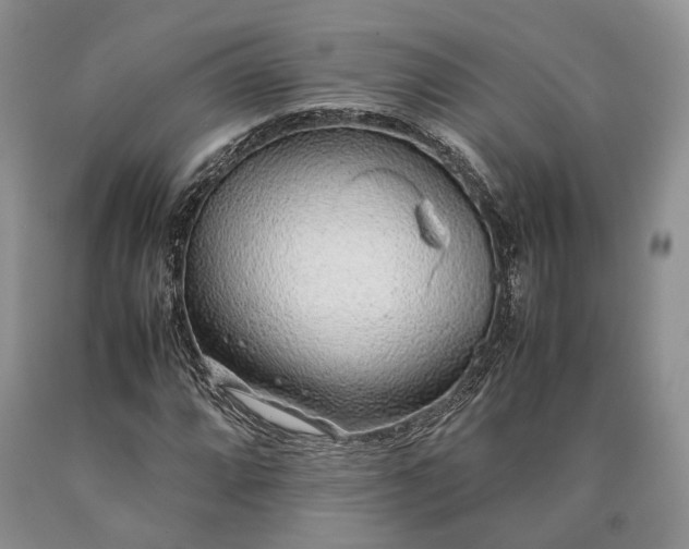 X0000090451064200707201309