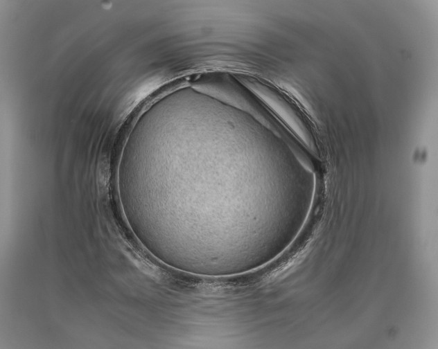 X0000090451065200707201309