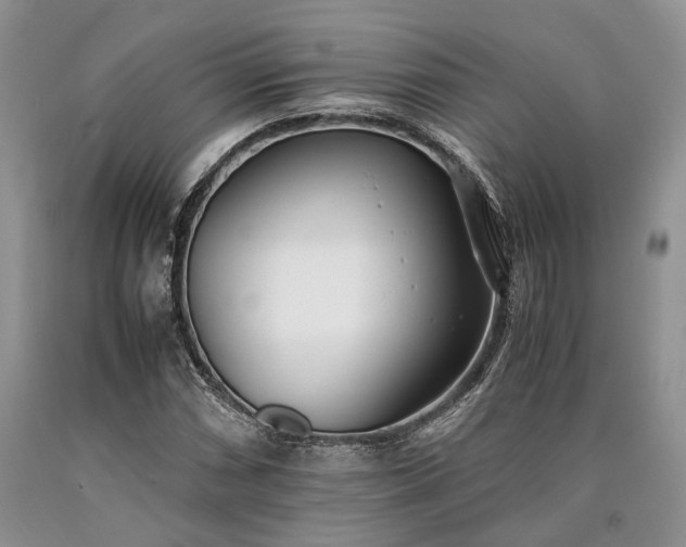 X0000090451066200707201309