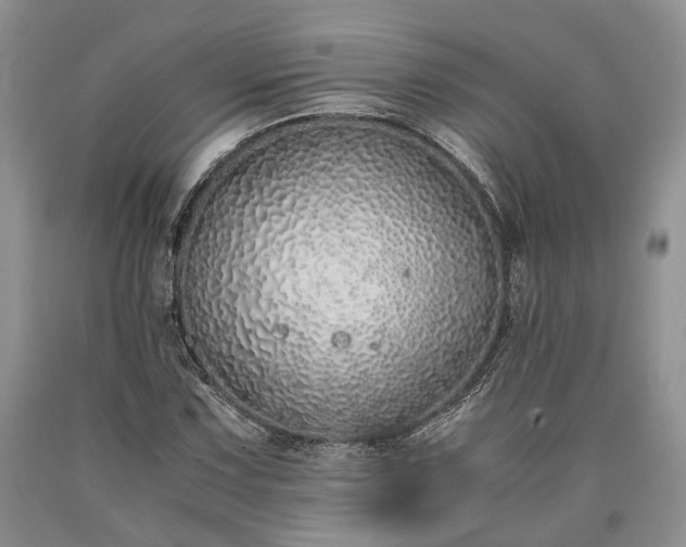 X0000090451067200707201309
