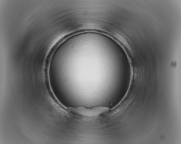 X0000090451068200707201309