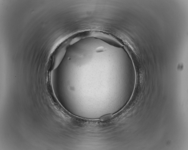 X0000090451069200707201309