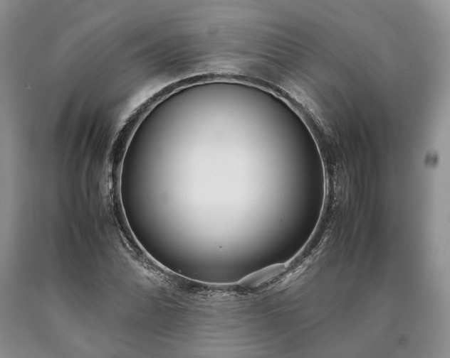 X0000090451070200707201309
