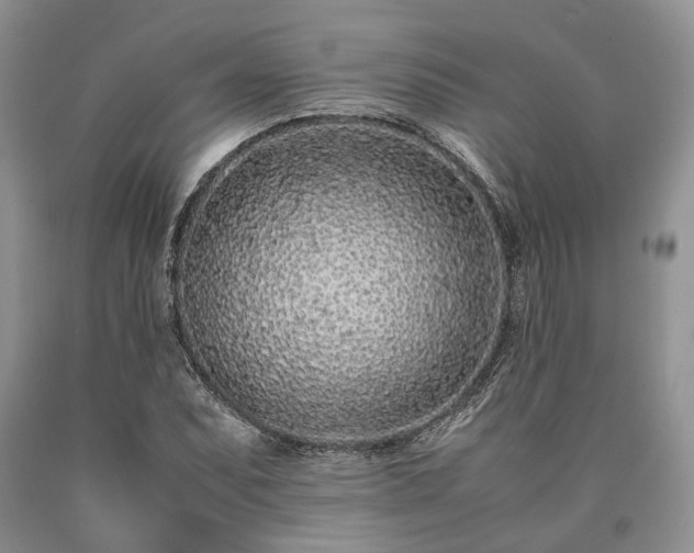 X0000090451071200707201309