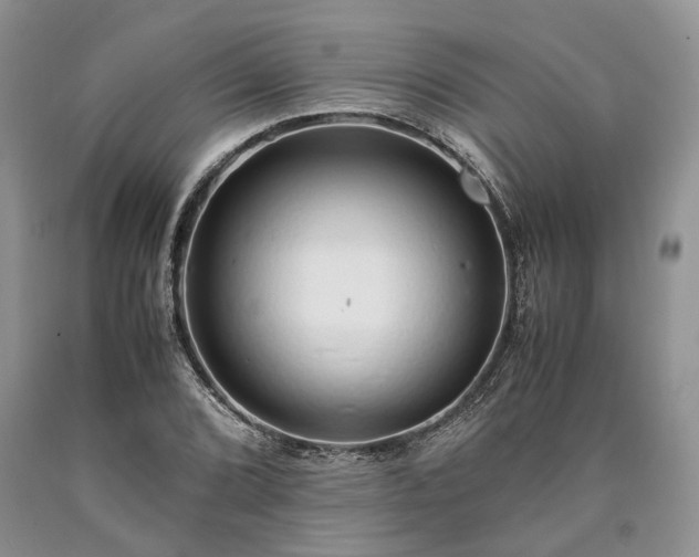 X0000090451072200707201309