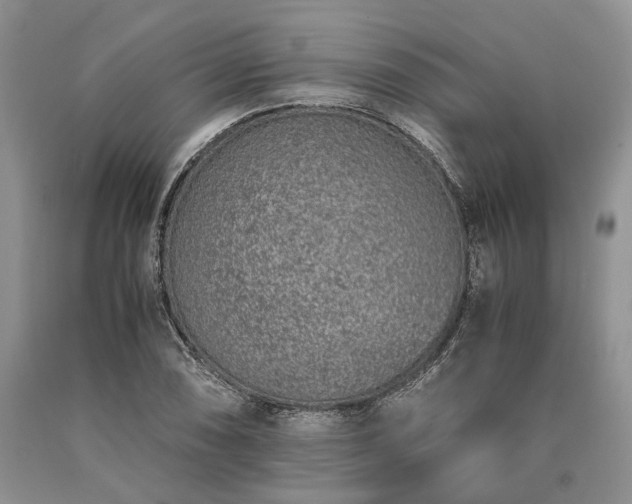 X0000090451074200707201309