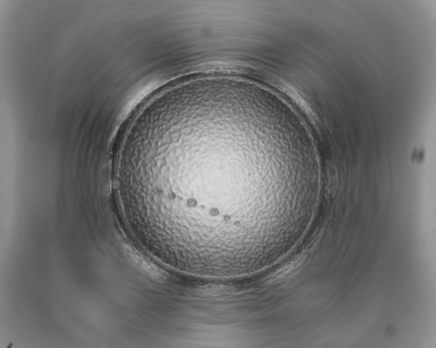 X0000090451075200707201309