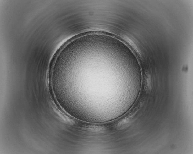X0000090451076200707201309