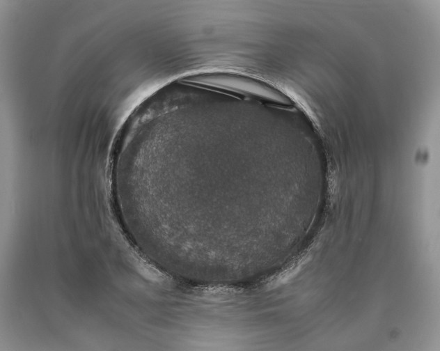 X0000090451077200707201309