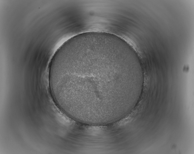 X0000090451078200707201309