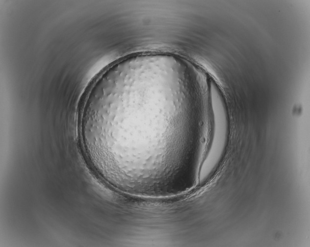 X0000090451079200707201309