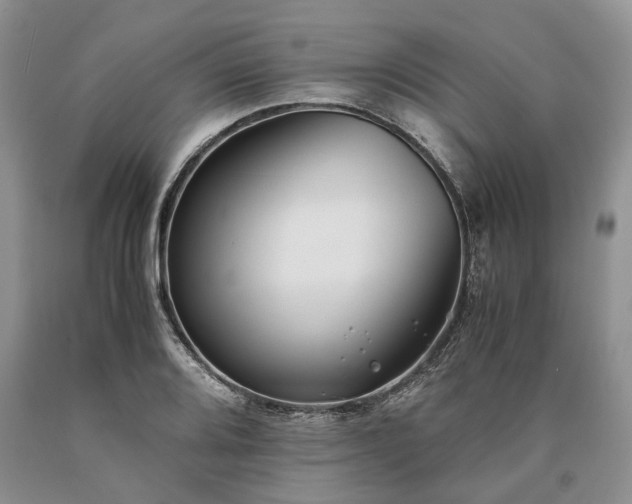 X0000090451080200707201309