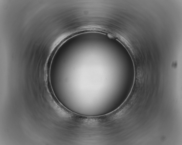 X0000090451082200707201309