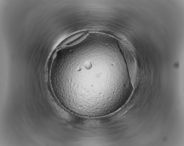 X0000090451083200707201309