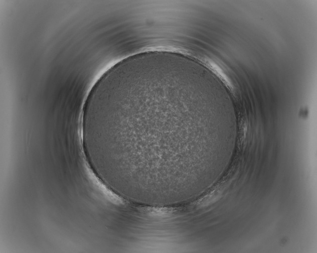X0000090451084200707201309