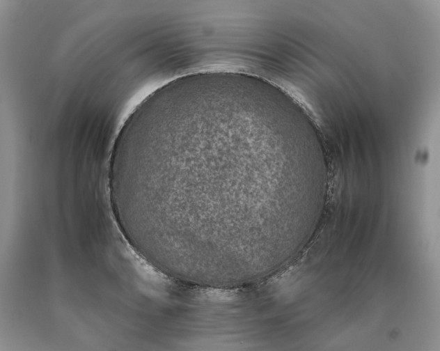 X0000090451086200707201309