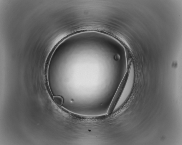 X0000090451087200707201309