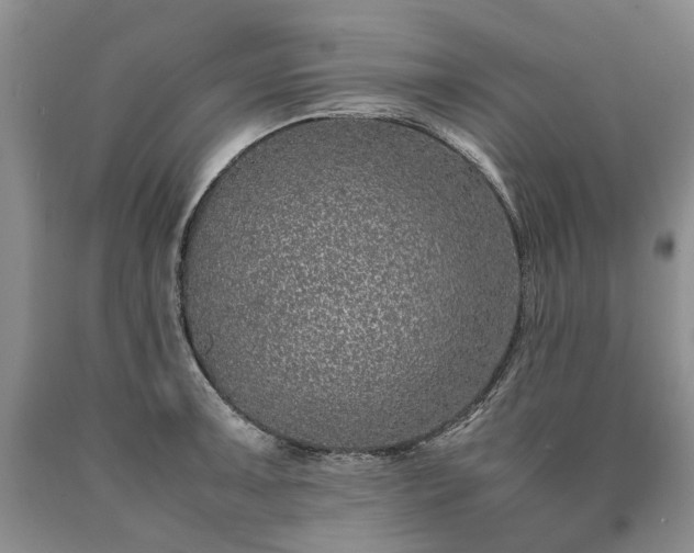 X0000090451091200707201308