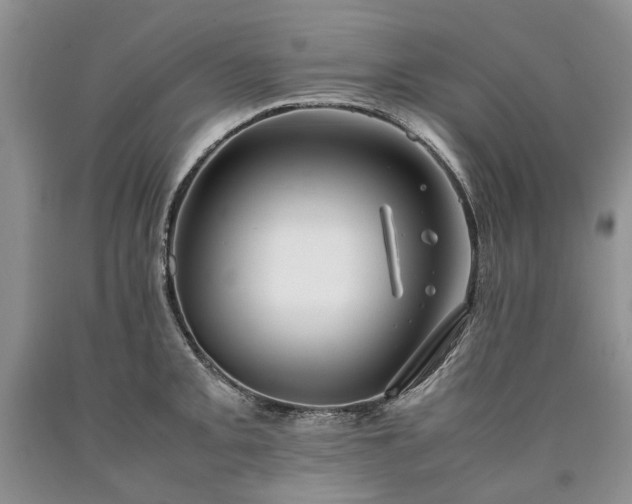 X0000090451093200707201308