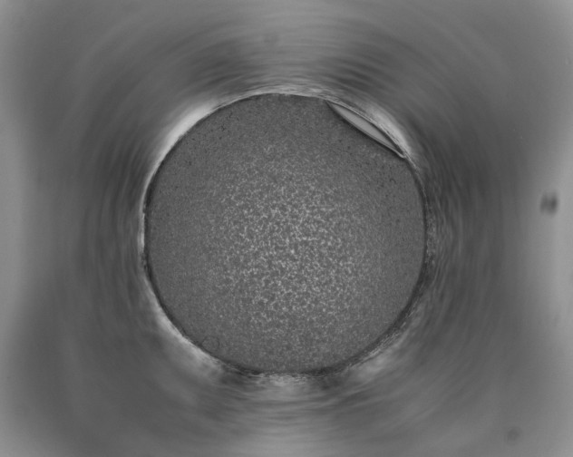 X0000090451095200707201308